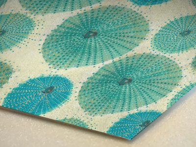 ricci_di_mare_3D copia